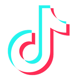 TikTok Logo